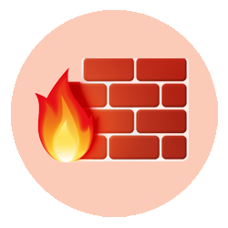 Firewall Network