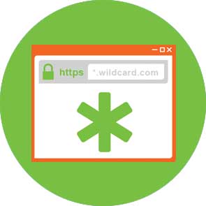 Unlimited Wildcard SSL