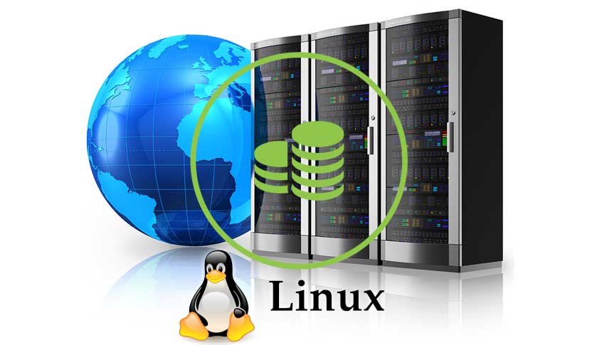Economical linux hosting